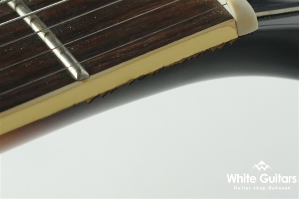 Aria Pro II CA-100-S SB